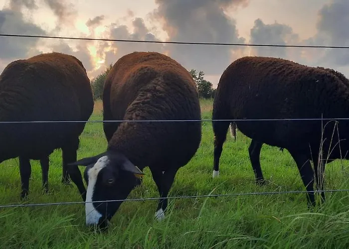 Gadegaard * Ringkobing